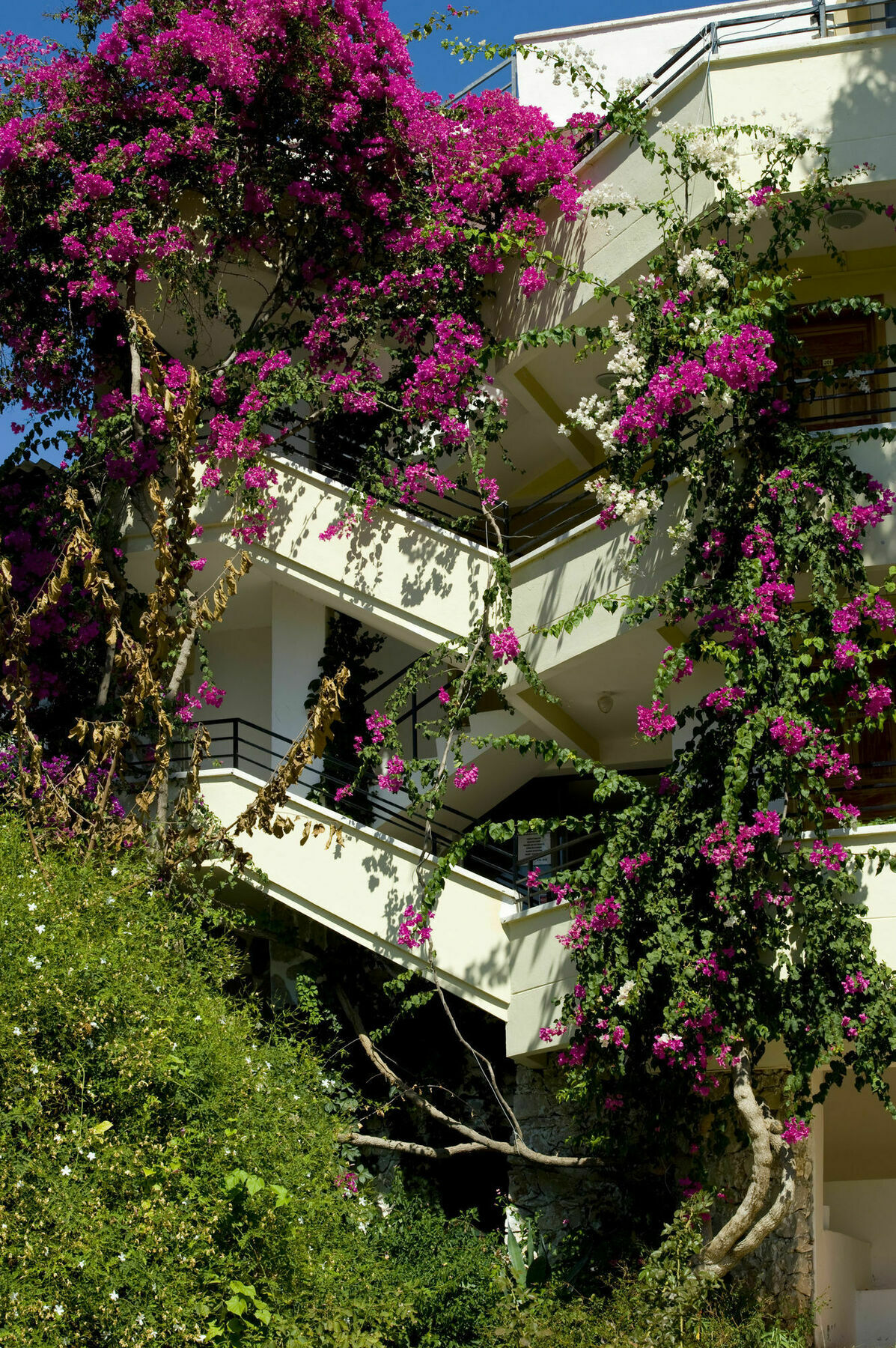 Pataros Hotel Patara Exterior foto